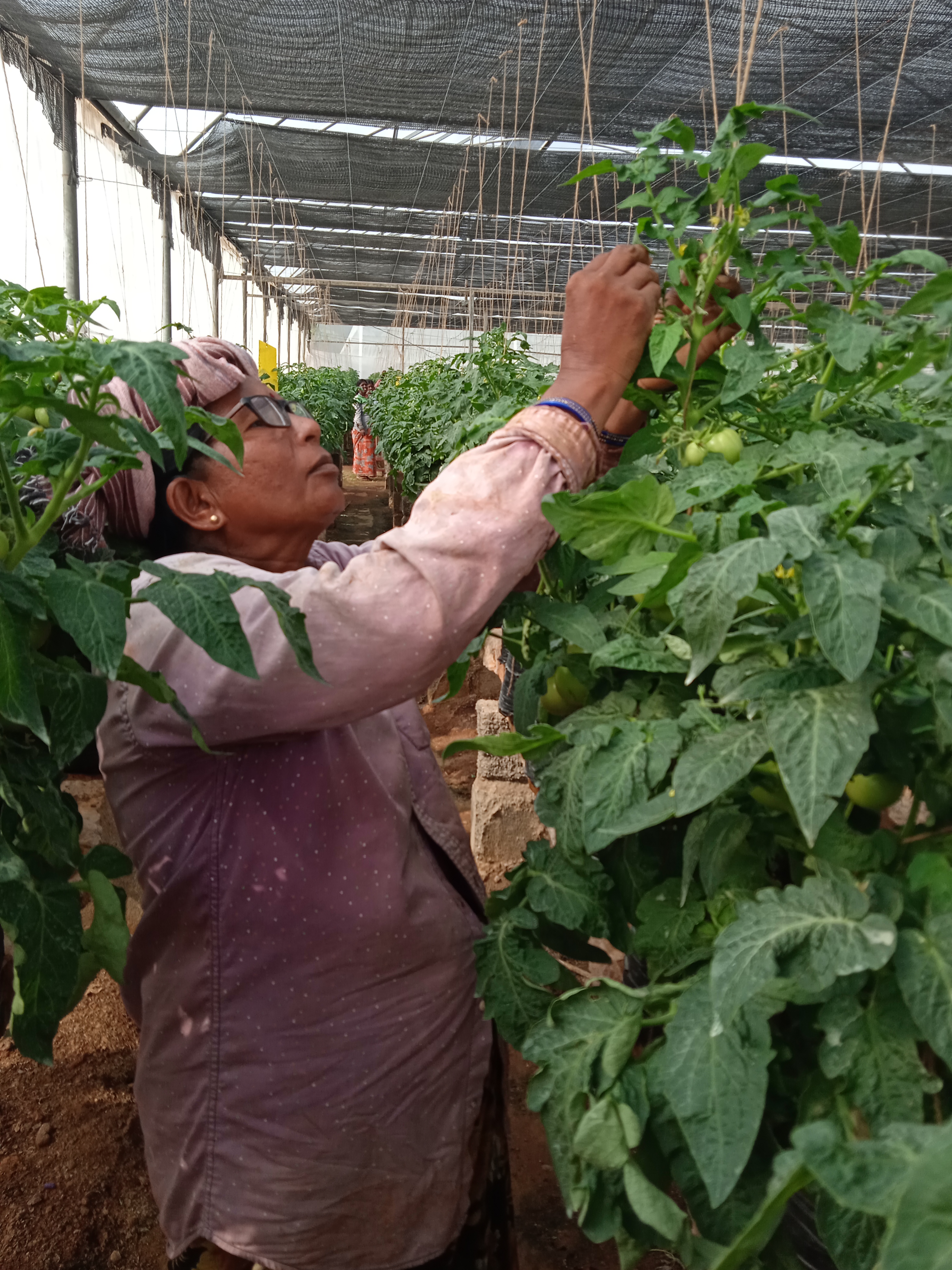 Farm management